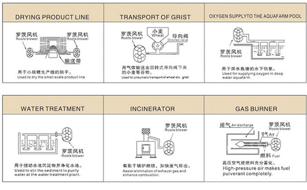 負壓羅茨風機在真空包裝中如何提升抽氣效率